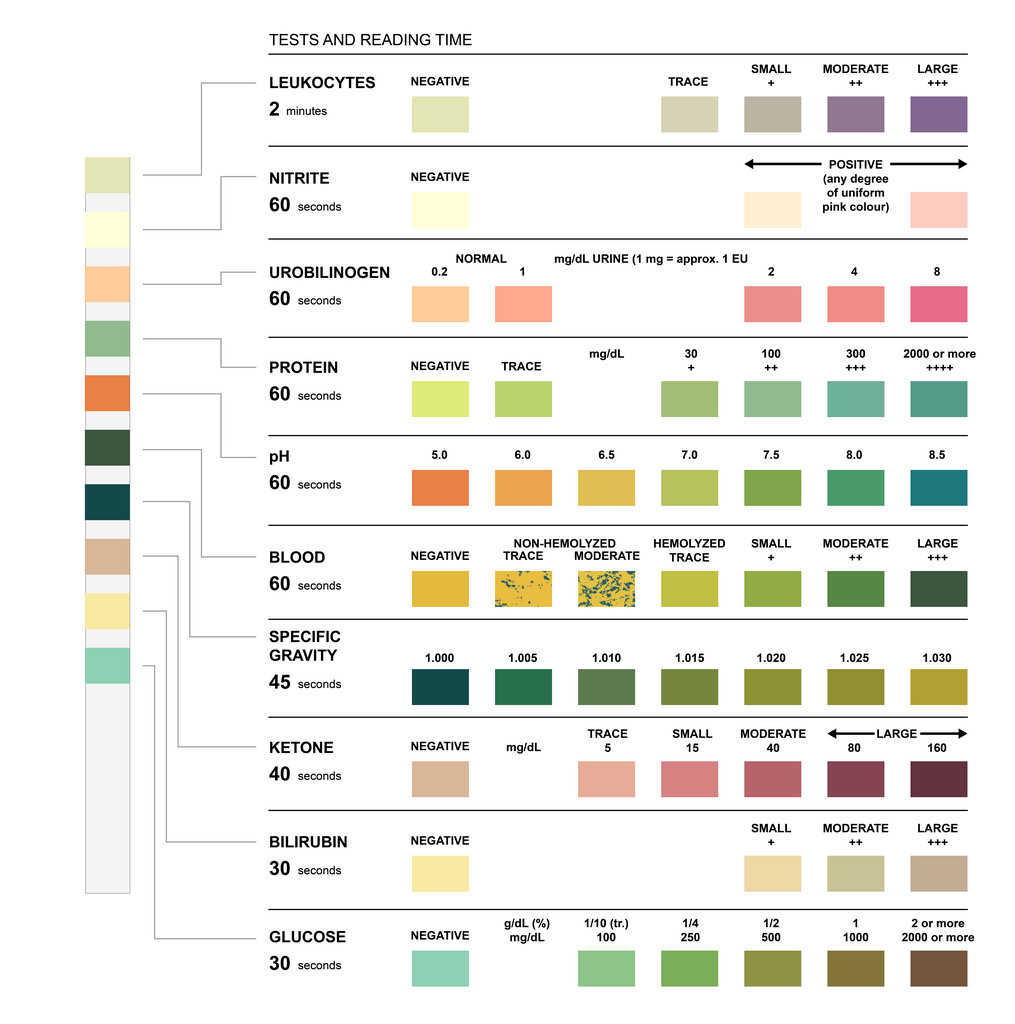 Siemens Test Color Chart